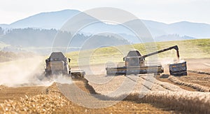 Combine harvester in work on wheat field