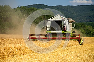 Kombajn v práci během sklizně pšenice. Nedostatek dodávek pšenice, globální potravinová krize, hromadění zásob.