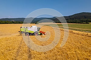 Combine harvester at work during wheat harvest. Wheat supply shortage, global food crisis, stockpiling.