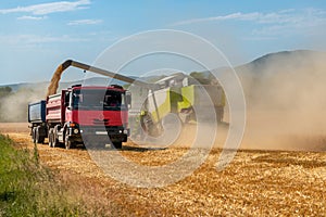 Kombajn v práci během sklizně pšenice. Nedostatek dodávek pšenice, globální potravinová krize, hromadění zásob.