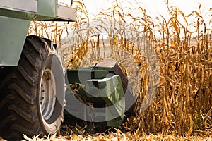 Combine harvester working in a corn field