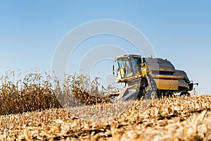 A combine harvester working in the corn fields