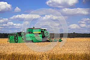 Combine harvester working on the field