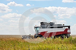 Combine harvester working on the field