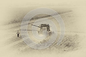 Combine harvester working in the field