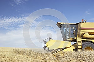 Combine Harvester Working In Field