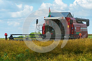 The combine harvester is working in the field. Agro-industrial complex, grain harvest season. Harvesting and harvesting of wheat,