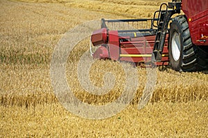 The combine harvester is working in the field. Agro-industrial complex, grain harvest season. Harvesting and harvesting of wheat,