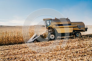 Combine harvester working in the fields. Agriculture Farmer working with machinery