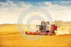 Combine harvester working on golden cereal field