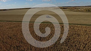 Combine harvester working on the golden corn field