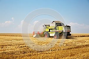 Combine harvester working on a golden ripe wheat field on a bright summer day against blue sky with clouds. Grain dust in the air