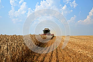 Combine harvester working on a golden ripe wheat field. Front view, blue sky with clouds in the background