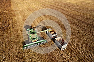 Combine harvester working on harvesting rapeseed, aerial view. Farm Harvest season in rural. Harvester for agriculture work.