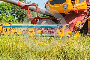 Combine harvester Working on rice field. Harvesting is the process of gathering a ripe crop