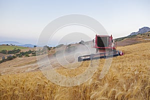 Combine harvester working on sloping ground, Spain