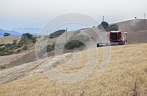 Combine harvester working on sloping ground, Spain