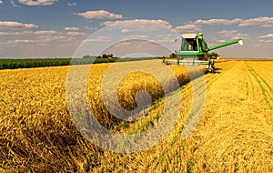 Combine harvester working on the wheat field