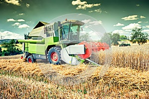 Combine harvester working on wheat field