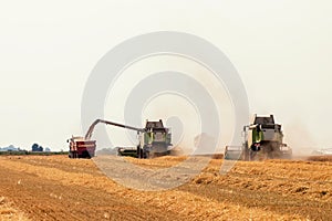 Combine harvester working on a wheat field. Harvesting wheat.