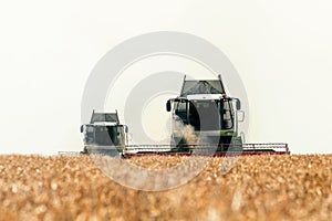 Combine harvester working on a wheat field. Harvesting wheat.