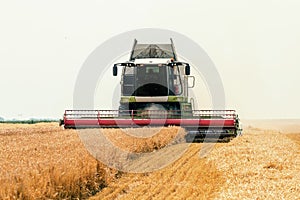 Combine harvester working on a wheat field. Harvesting wheat.