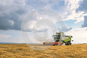 Combine harvester working on a wheat field. Harvesting wheat