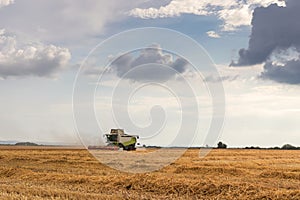 Combine harvester working on a wheat field. Harvesting wheat.