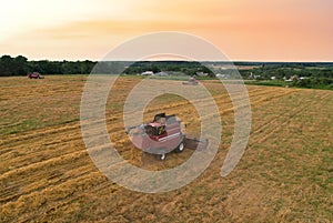 Combine harvester working in wheat field. Harvesting machine during cutting crop in farmland. Aerial view of Combines on grain