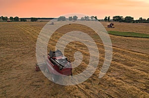 Combine harvester working in wheat field. Harvesting machine during cutting crop in farmland. Aerial view of Combines on grain