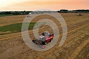 Combine harvester working in wheat field. Harvesting machine during cutting crop in farmland. Aerial view of Combines on grain