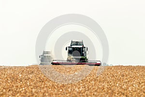 Combine harvester working on a wheat field. Harvesting wheat