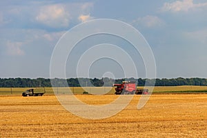 Combine harvester working on wheat field. Harvesting the wheat. Agriculture concept