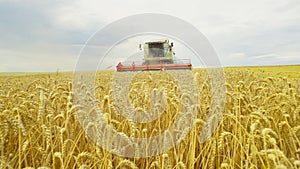 A combine harvester works in a field harvesting wheat in a rural landscape.