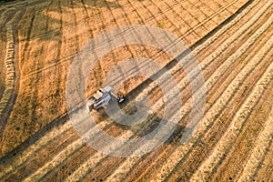 Combine harvester works on a wheat field