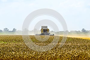 Combine harvesters. Agricultural machinery.