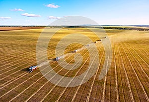 Combine harvesters agricultural machines collecting golden wheat on the field. View from above.