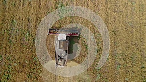 Combine harvesters in the field in sunny weather. Harvest. Cereals. View from the drone. view from above.