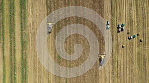 Combine Harvesters Wheat Crop On Farm Field Tractors Collect Hay In Stacks