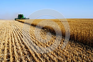 Combine harvesting photo