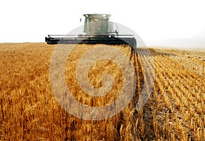 Combine harvesting photo