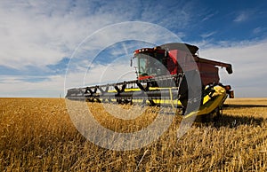 Combine harvesting photo