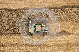 Combine harvesting: aerial view of agricultural machine collecting golden ripe wheat into truck.