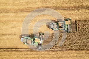 Combine harvesting: aerial view of agricultural machine collecting golden ripe wheat into truck.