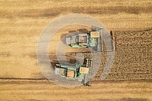 Combine harvesting: aerial view of agricultural machine collecting golden ripe wheat into truck.