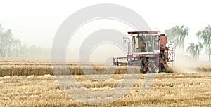 Combine harvesting cereals field, China