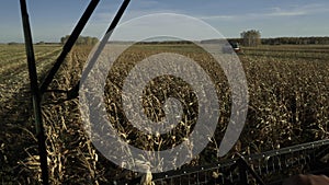 Combine harvesting the corn field close up view