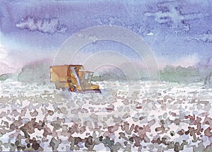 combine harvesting cotton watercolor