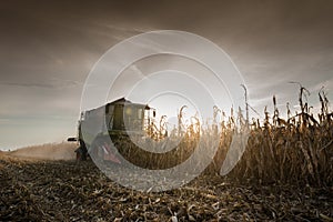 Combine harvesting crop corn