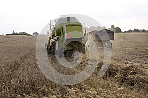 Combine harvesting crops